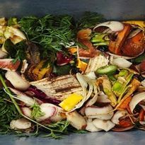 Lesson 3: Engineer: Engineer a Solution to a Food Waste Problem