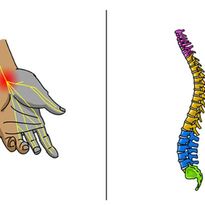 Lesson 3: Engineer: Engineer a Solution to a Nervous System Problem