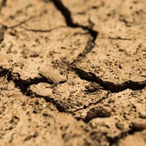 Lesson 3: Engineer: Engineer a Water Conservation Solution